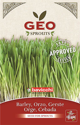 Geo Bavicchi Seeds Organic Cultivation 80gr