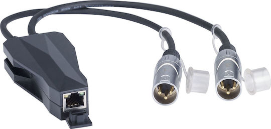 Audiophony CONVD2OUT Μετατροπέας XLR 2x male σε RJ-45 female 1τμχ