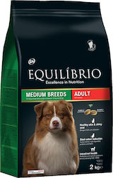 Equilibrio Adult Medium 2kg Trockenfutter für erwachsene Hunde mittlerer Rassen mit Huhn, Reis und Fisch