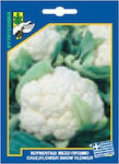 Γενική Φυτοτεχνική Αθηνών Seeds Cauliflower