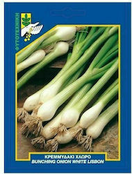 Γενική Φυτοτεχνική Αθηνών Seeds Onion