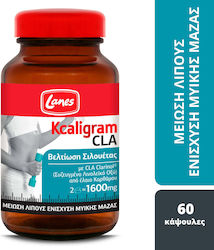 Lanes Kcaligram CLA 800mg 60 κάψουλες