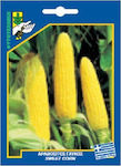 Γενική Φυτοτεχνική Αθηνών Seeds Corn