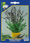 Γενική Φυτοτεχνική Αθηνών Seeds Lavenderς Purple