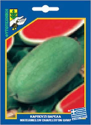 Γενική Φυτοτεχνική Αθηνών Seeds Watermelon