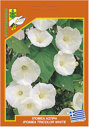 Γενική Φυτοτεχνική Αθηνών Seeds Ipomoea White