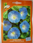 Γενική Φυτοτεχνική Αθηνών Seeds Ipomoea Blue