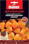 Blumen Πιπεριά Habanero Arancio