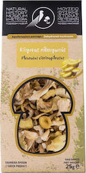 Mouseio Fysikis Istorias Meteoron Mushrooms Dehydrated Yellow Pleurotus In Slices 25gr