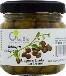 Ola Bio Capers In brine 110gr