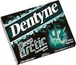 Dentyne Deep Arctic Eucalyptus Ευκάλυπτος 16.8gr 14τεμ