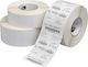 Transfer 1000 Self-Adhesive Labels for Label Printer 100x48mm