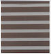 vidaXL Roller Blinds Zebra Double Brown W50xH100cm 240189