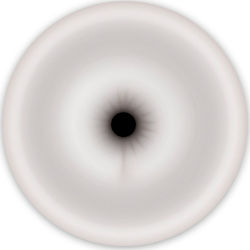 Ns Novelties Renegade Universal Spare Part Transparent