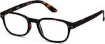 Izipizi B Reading Glasses +2.00 Tortoise