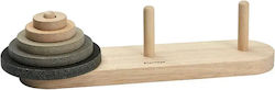 Plan Toys Tower of Hanoi for 36++ Months
