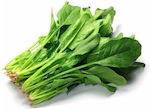 Seed Spinach Flat leaf spinach F1