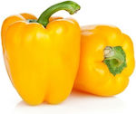 Seed Pepper Yellow Stuffed Pepper F1