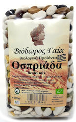 Βιόδωρος Γαία Φασόλια Πλακέ Bio 500gr Βιόδωρος Γαία Φασόλια Πλακέ Bio 500gr