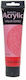 Phoenix Arts Artist's Acrylics Value Series Acr...