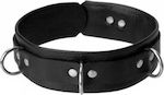 XR Strict Leather Deluxe Collar in Schwarz Farbe