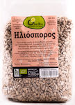 Όλα Bio Organic Sunflower Seeds Raw Peeled Unsalted 500gr ΒΙΟ029