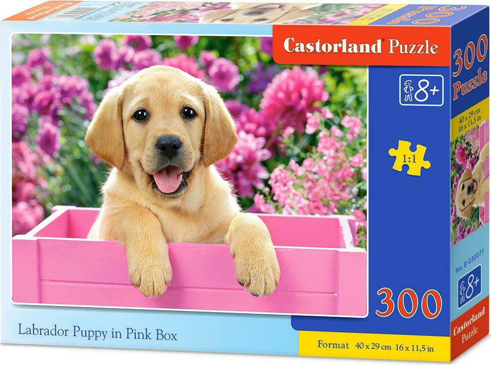 Παιδικό Puzzle Labrador Puppy in Box 300pcs για 8+ Ετών B030071 Castorland Skroutz.gr