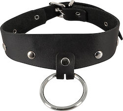 Zado Leather Collar with Decorations Collar