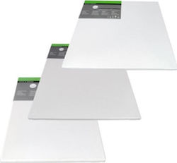 Daler Rowney Καμβάς Καρτολίνο Λευκός 24x30εκ. 1τμχ Daler Rowney Καμβάς Καρτολίνο Λευκός 24x30εκ. 1τμχ