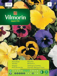 Vilmorin Seeds Viola Polychrome