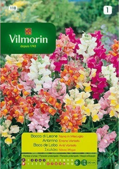 Vilmorin Samen Hund