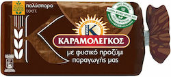 Καραμολέγκος Bread Τοστ Πολύσπορο Ολικής Άλεσης 340gr 1pcs