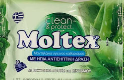 Ino Moltex Handdesinfektionsmittel Tücher 20 Stück