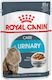 Royal Canin Urinary Wet Food for Adult Cat in Pouch 12x85gr 2613010