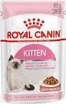 Royal Canin Kitten Gravy Hrana umeda pentru pisici in varsta in Pungă cu Păsări de curte 85gr 6buc