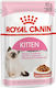 Royal Canin Kitten Gravy Nasses Katzenfutter für Katze in Beutel mit Geflügel 6x85gr