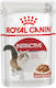 Royal Canin Instinctive Gravy Wet Food for Adult Cats in Pouches with Fish, Chicken and Poultry 85gr