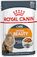 Royal Canin Intense Beauty Gravy Wet Food for Adult Cats in Pouches 85gr
