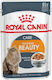 Royal Canin Intense Beauty Hrană Umedă pentru Pisici Adulte în Pliculeț cu Pește 12x85gr