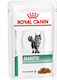 Royal Canin Diabetic Nasses Katzenfutter für Katze in Beutel 85gr 4020010