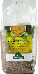 Evergreen Organics Βιολογικός Λιναρόσπορος 350gr