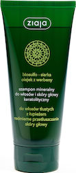 Ziaja Shampoo Gegen Schuppen 200ml Ziaja Shampoo Gegen Schuppen 200ml