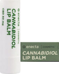 Enecta Cannabidiol Lip Balm Κάνναβης σε Stick 50mg 5.5ml
