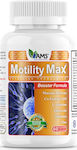 AMS Motility Max 60 вегетариански капсули