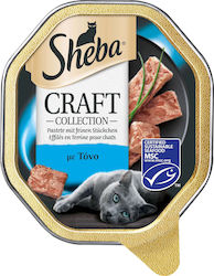 Sheba Craft Nasses Katzenfutter für Katze in Tablett mit Thunfisch 85gr