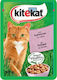 Kitekat Φακελάκι Wet Food for Adult Cats In Pouch with Salmon 1pc 100gr