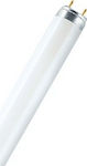 Osram Fluorescent Lamp with Shape T8 23W