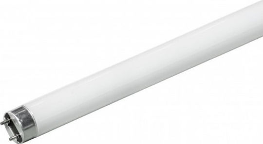 Aca Fluorescent Lamp with Shape T5 13W