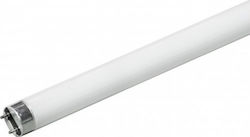 Aca Fluorescent Lamp with Shape T8 58W