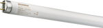 Sylvania Fluorescent Lamp with Shape T8 36W